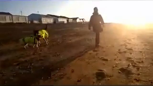 А На Северном Кипре Выходные) [На Выходные На Кипр] смотреть онлайн