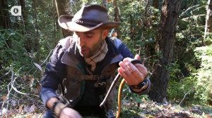 ЖИВАЯ РЕЗИНОВАЯ ЗМЕЯ?! / Койот Питерсон на русском