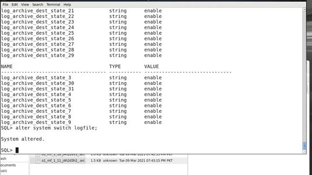 How to Enable ArchiveLog Mode in Oracle Database Part II смотреть онлайн