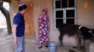 Зани таърифита дар шаб ай берун капидем Гр Арабшо сахнаи нав 2020