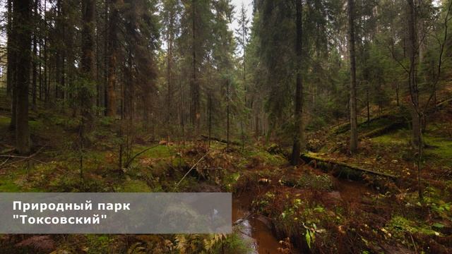 05. От щита «Камы» до щита «Растения елового леса» смотреть онлайн