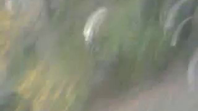 достопримечательности Луганска смотреть онлайн