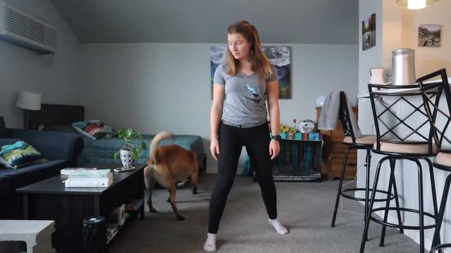 Ready, Set, DOWN! An Impulse Control Game for Dogs смотреть онлайн