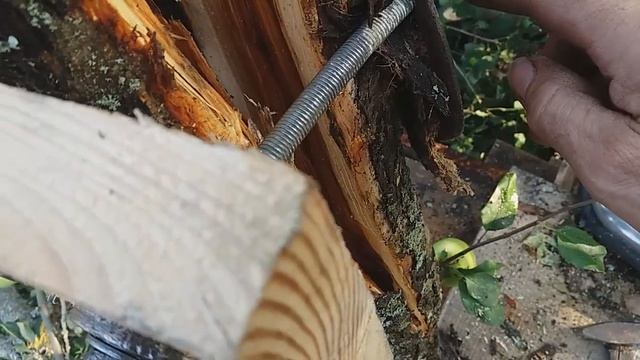 Как спасти сломанную яблоню