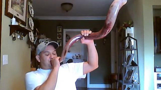 9 shofares para Gerber benites de oklahoma смотреть онлайн