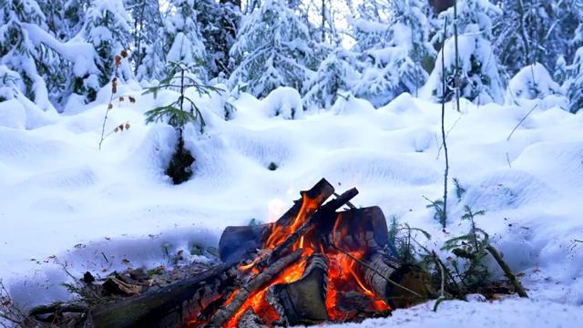 CAMPFIRE 4K ? Relaxing Fire in the Winter Forest (12 HOURS). Campfire with Burning Logs & Fire Soun смотреть онлайн