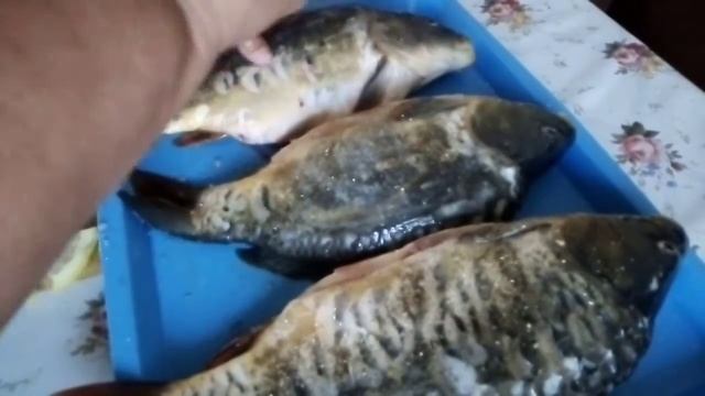 1 августа 2020 г.mp4 смотреть онлайн