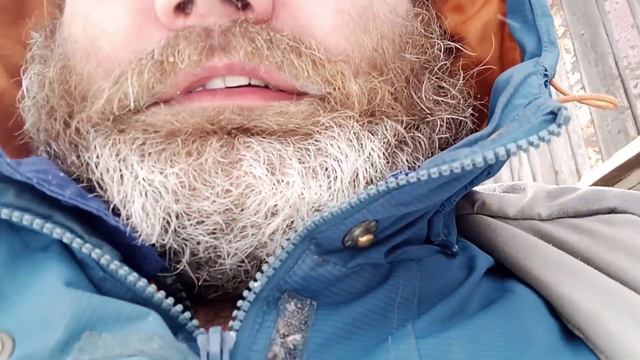 Какой ужас, грязные свиньи/Что позволяет себе этот свиновод???