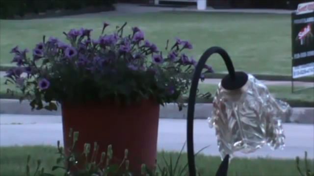 GS253 Урок № 48. Ответы на ваши письма. Как выйти замуж за иностранца. смотреть онлайн