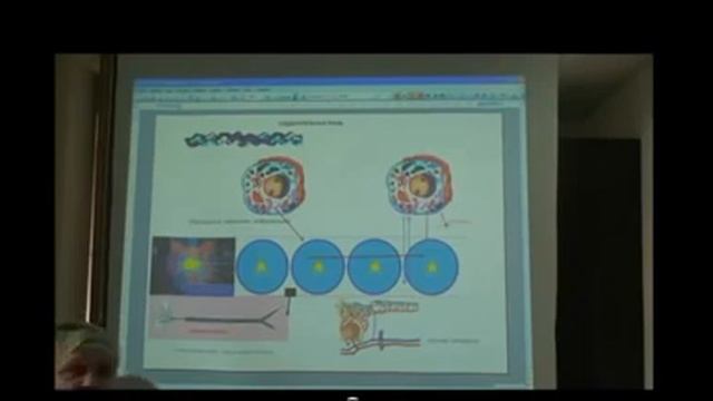 Что такое Флуревиты , как они восстанавливают здоровье человека. смотреть онлайн
