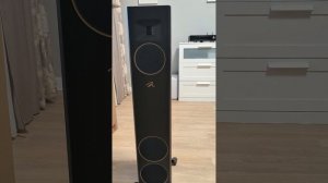 Martin Logan motion F20. Распаковка и краткий внешний обзор
