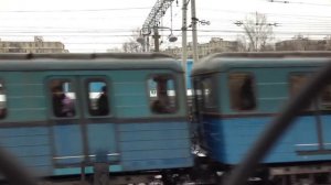 Собака бежит по путям перед поездом метро. Выхино