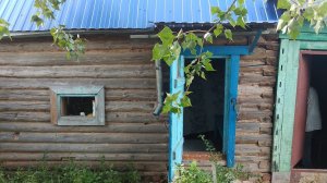 УТЕПЛЕНИЕ ПОТОЛКА БАНИ ОПИЛКАМИ