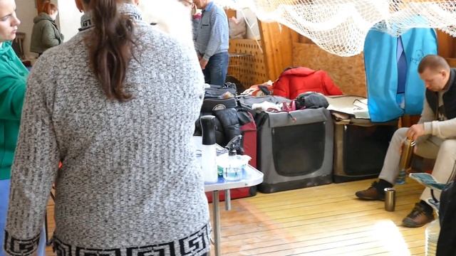 Выставка собак Тверь п Сахарово 2023 (4K) #выставкасобак смотреть онлайн