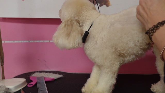 Heiniger Cordless Clippers Review смотреть онлайн