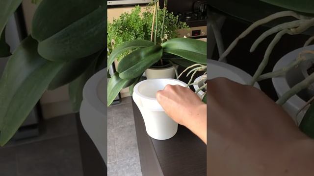 Цветочный горшок двойной Сити белый смотреть онлайн