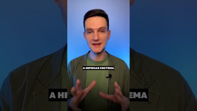 Естественная защита от стресса☝?Профилактика депрессии и выгорания. смотреть онлайн