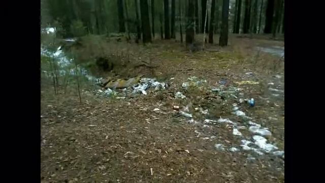 15.04.2016. Тальменский бор смотреть онлайн