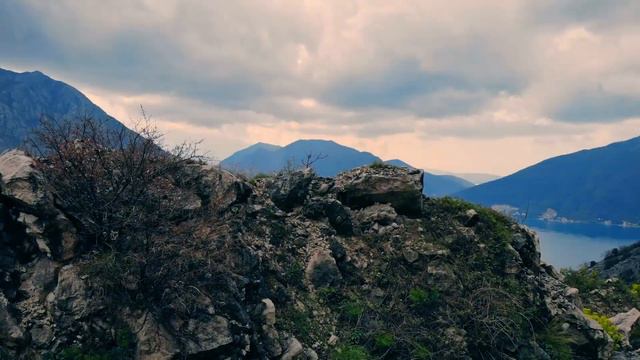 Relaxing Music - Best Cello and Piano and Violin Instrumentals 💙 Heavenly Background Music смотреть онлайн