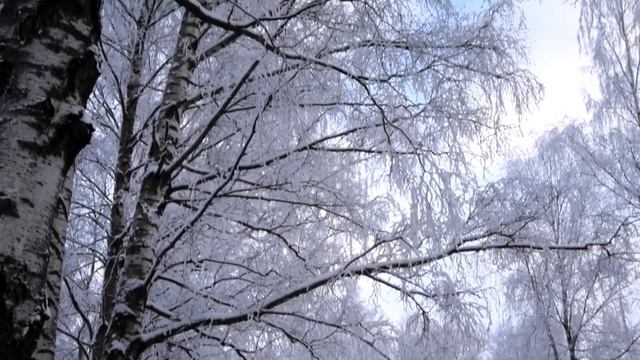 Смотри какая красота Автор видео Любовь Белкина смотреть онлайн
