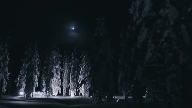 Lynx Adventure - Live Experience Teaser смотреть онлайн