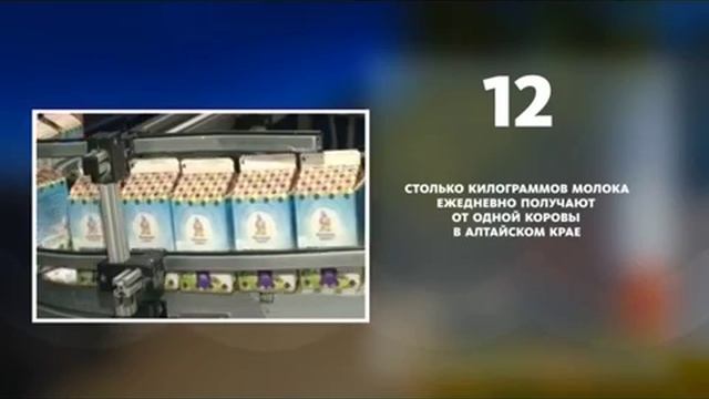 Сколько килограммов молока ежедневно получают в Алтайском крае от одной коровы смотреть онлайн