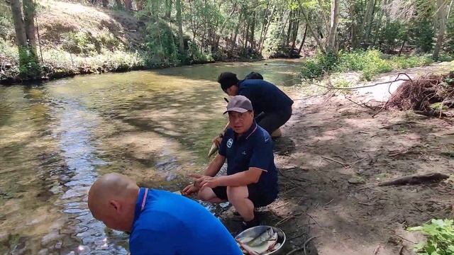 Hmoob Fresno Toyota Club Camping смотреть онлайн