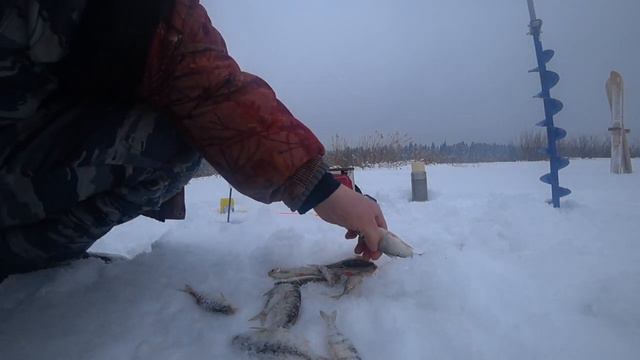 Главное Не Улов!!! Главное Рыбалка!!! #87 смотреть онлайн