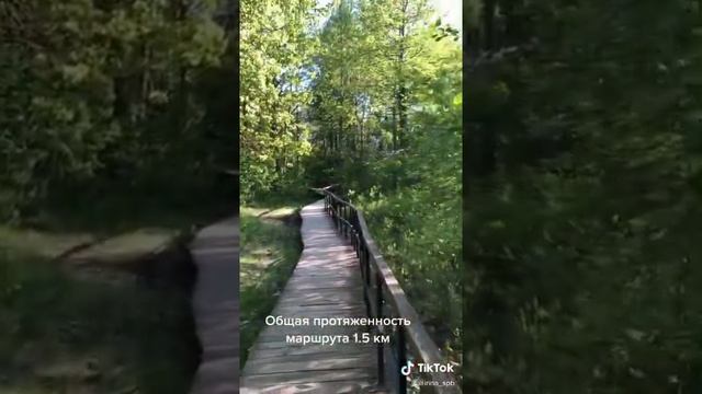 Западный Котлин смотреть онлайн