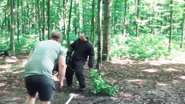Американский стаффордширский терьер Барон. Винница