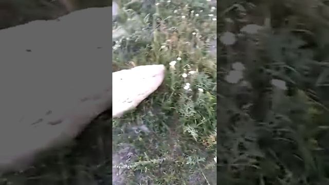 Сонник. Большие камни во снах.mp4 смотреть онлайн