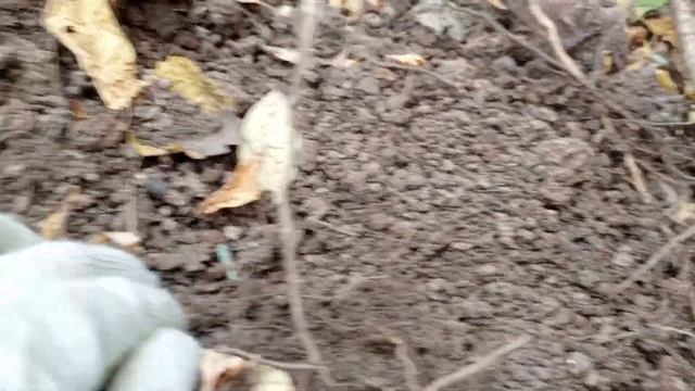 Новый шурфец с Голден Маск 6. смотреть онлайн