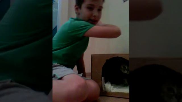Как сделать домик для кота из коробки смотреть онлайн