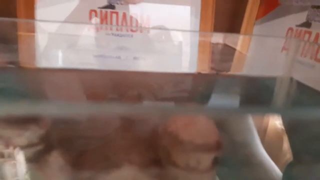 Как завести неонов? Заселение, уход. смотреть онлайн