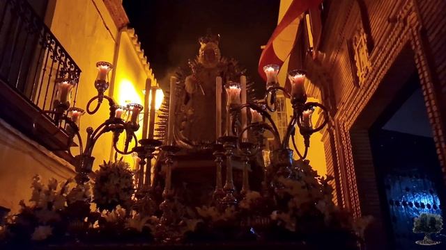 Virgen del Rosario - Magna de Carmona - BM Soledad (Cantillana) смотреть онлайн