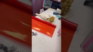 Упаковка одной хризантемы )