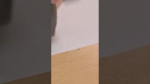 Сборка Стол компьютерный Лайт Золотой Крафт Белый