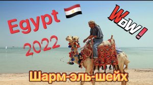 Египет ?? Шарм-эль-Шейх. Экскурсии