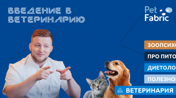 Введение в ветеринарию.