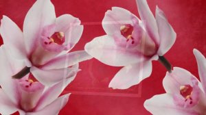 Добрый вечер друзья