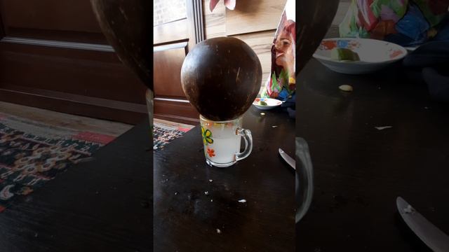 Как Открыть КОКОС дома? правильно и БЫСТРО? смотреть онлайн