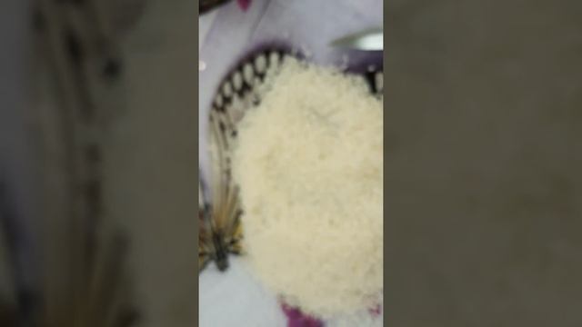 В рисе Sen Soy нашла насекомых смотреть онлайн