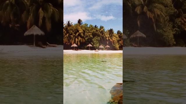 Стихотворение Эдуарда Асадова "Добрый принц" читает Алла Тёмкина-Винникова смотреть онлайн