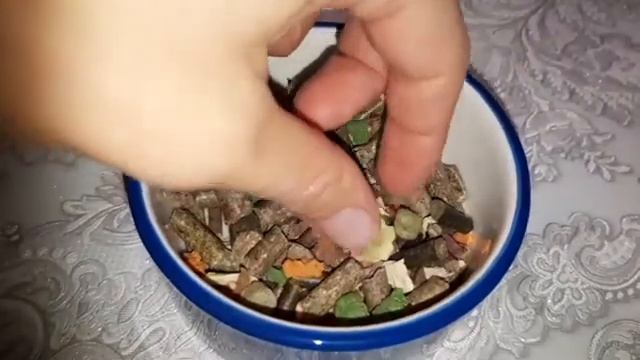 подбор корма морским свинкам/lolo pets смотреть онлайн