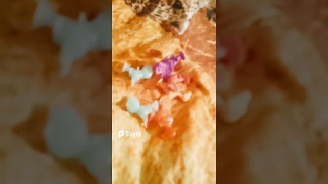 я в шоке!.mp4 смотреть онлайн
