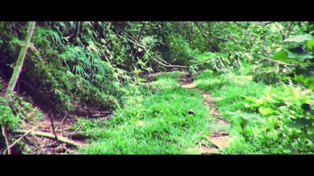 Yes! Bora Bora 5 - Наше Путешествие на Бора-Бора