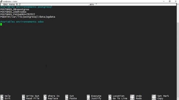 146# Installer ERP Odoo, PostgreSQL et NGINX via Docker Compose sous Linux Ubuntu