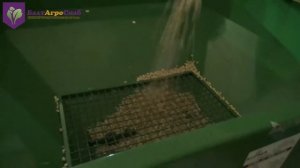 Зерноплющилка Sipma