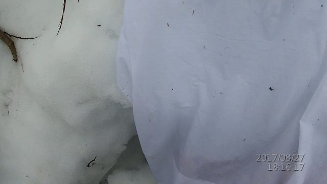 Весенняя охота на гуся!! смотреть онлайн