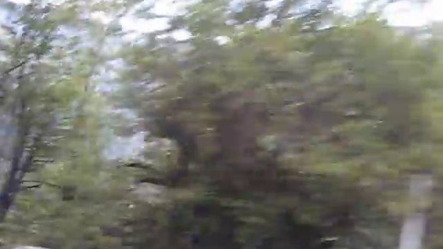 ДОРОГА НА ОЗЕРО РИЦА. АБХАЗИЯ смотреть онлайн